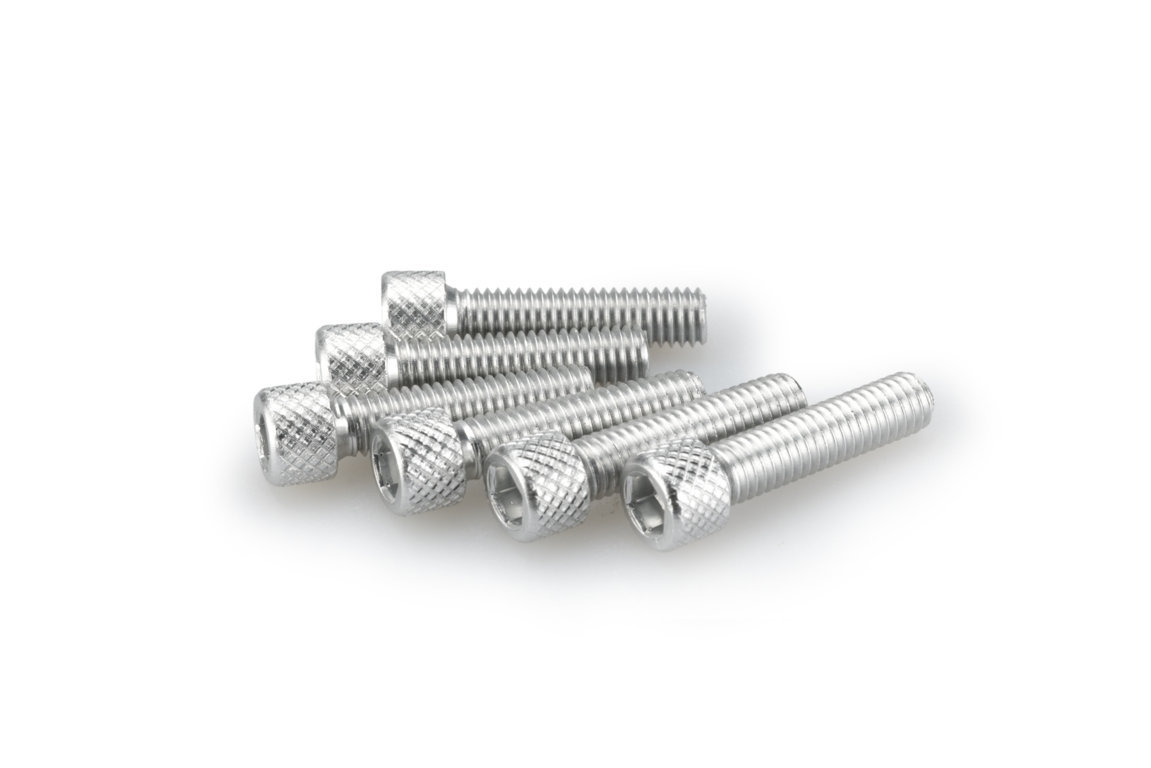 Screws PUIG ANODIZED 0544P silver M6 x 25mm (6pcs)