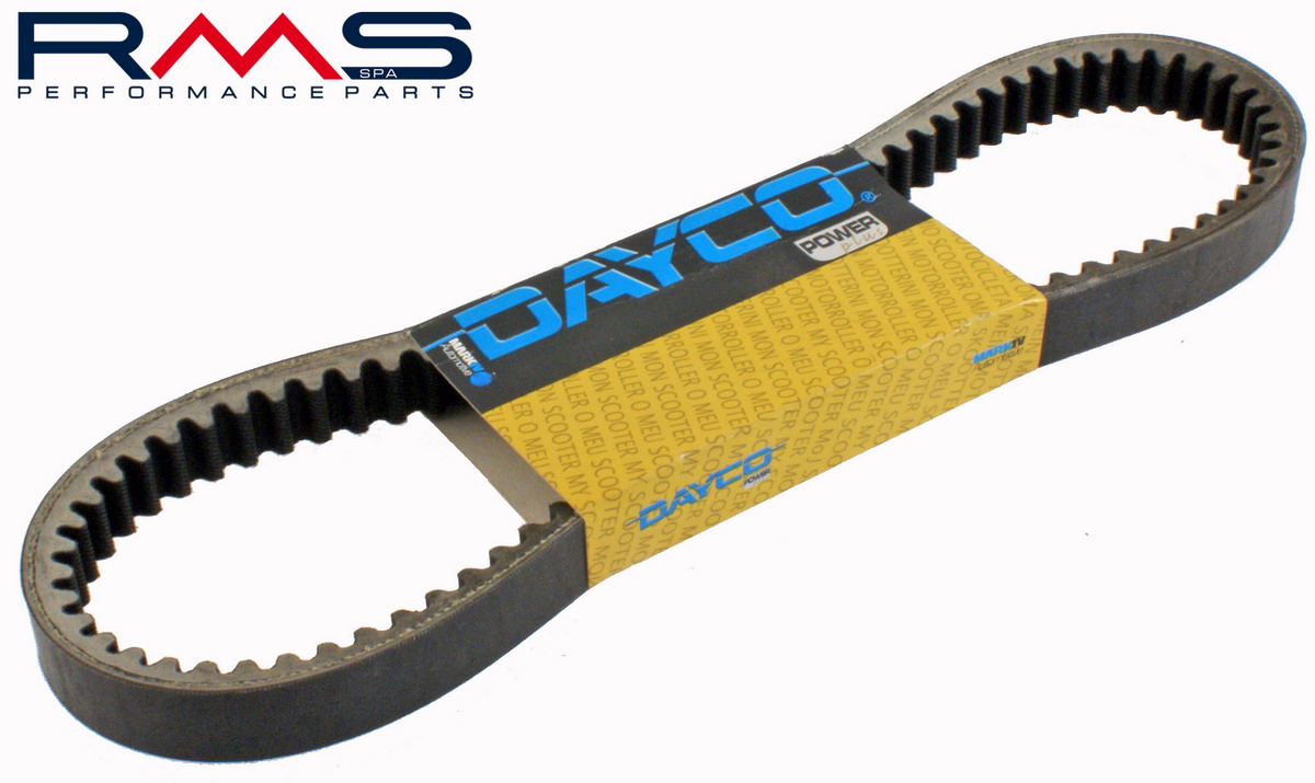Transmission belt DAYCO DAYCO 163750730