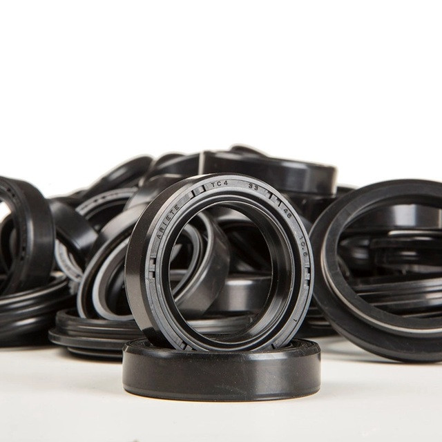 Brake pump oil seals kit ARIETE 07876